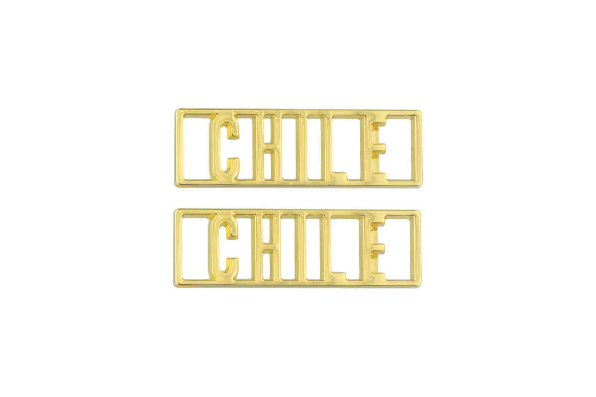 USA Statement Lace Tags